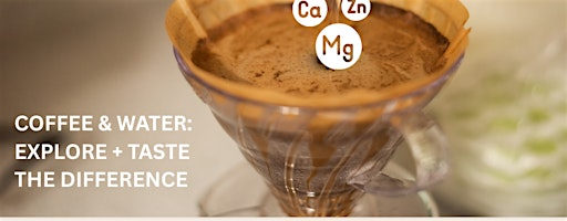Coffee and Water - Explore, Taste the Difference | 70 Temperance St
