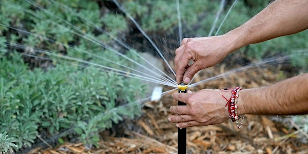 Comprehensive Irrigation for California Native Plants with Tim Becker | Theodore Payne Foundation
