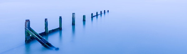 'Sea and Shore' Photography Workshop with Daniel Bridge | The Naze Nature Discovery Centre