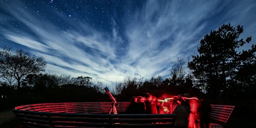 The Geminids under a sparkling dark sky | Sutton Bank National Park Centre