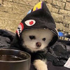 たくや日本一周旅行