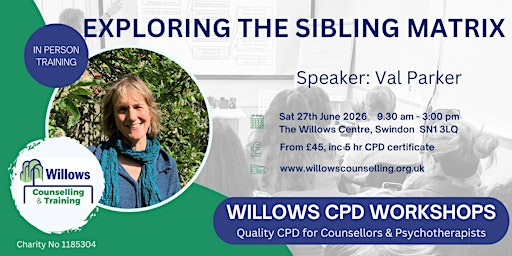 Exploring the Sibling Matrix | Willows Counselling Service