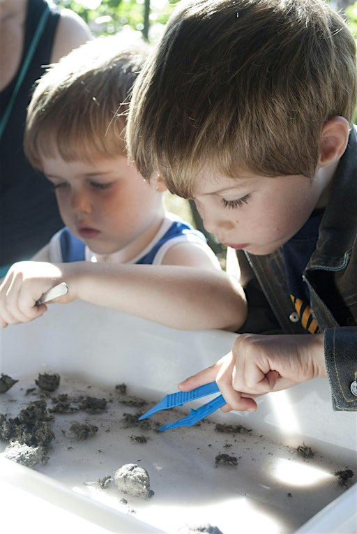 Bones and body bits (Family event) NWT Ranworth Broad | Norfolk Wildlife Trust Ranworth Broad and Marshes