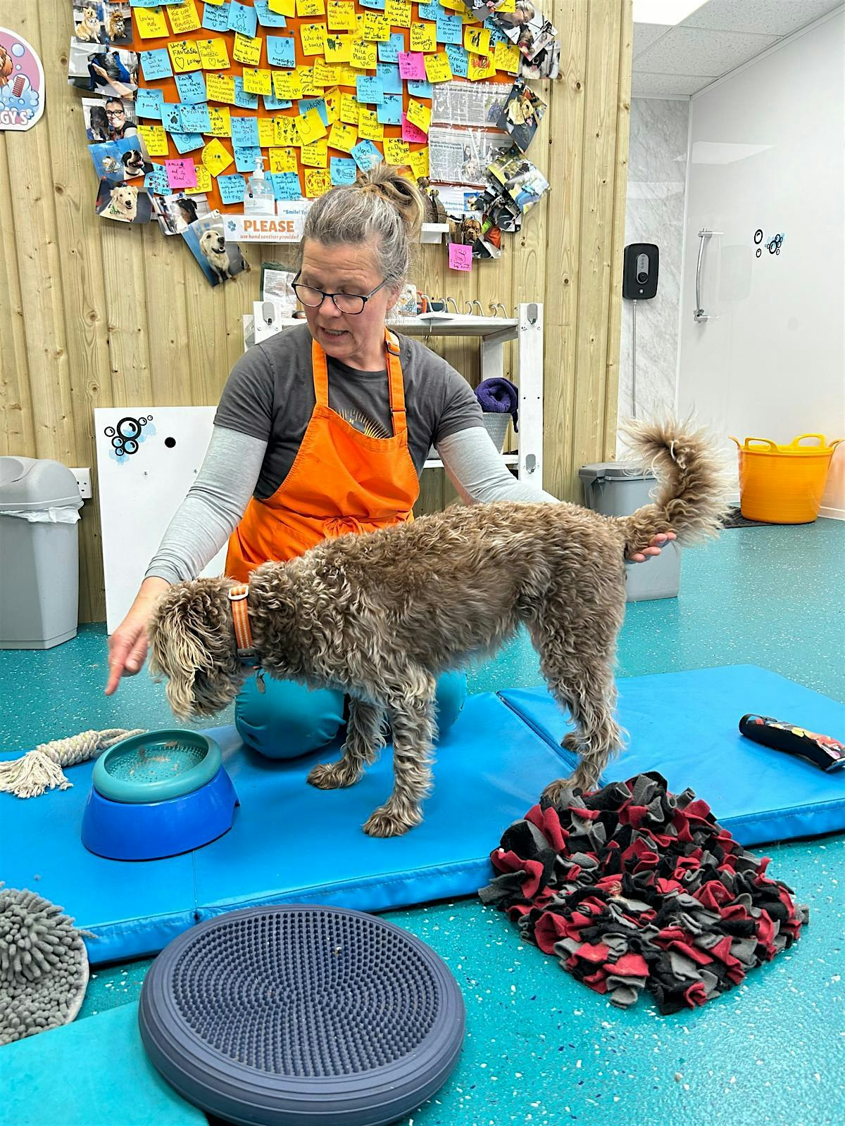 Happy Handling - Holistic Grooming Workshop | Healthy Pet Store