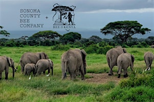 2nd Annual BEE in Kenya Benefit Dinner & Art Auction | Dragonfly Farm and Floral
