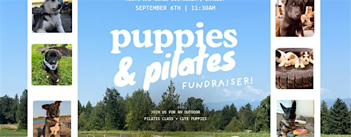 Puppies and Pilates Fundraiser | Roots and Wings Distillery