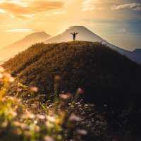 DIENG PLATEU, CENTRAL JAVA