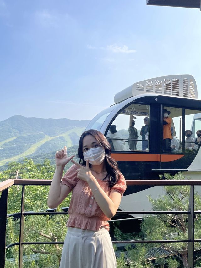 가을 여행지 추천 :: 화담숲🌳