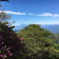 天城山