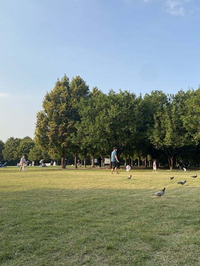 건물과 숲의 조화 🌳 서울숲 