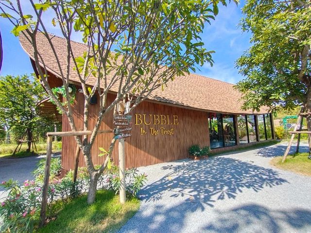 Bubble in the forest คาเฟ่สุดว้าว มีที่หลายโซน