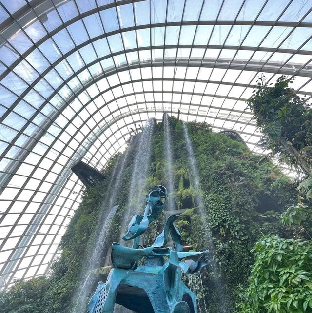 Cloud Forest