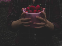 🍓ไร่สามพี่น้อง @วังน้ำเขียว