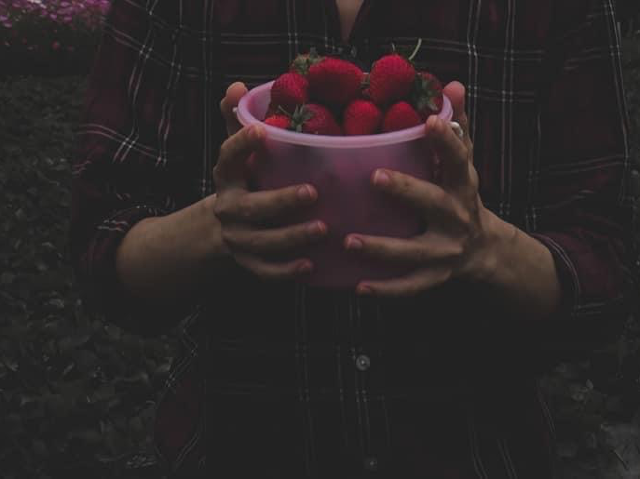 🍓ไร่สามพี่น้อง @วังน้ำเขียว