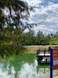 台東森林公園秘境探索｜快來這裡拍美照吧😍