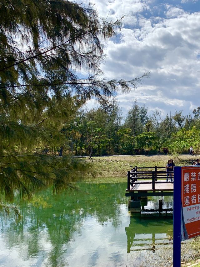 台東森林公園秘境探索｜快來這裡拍美照吧😍