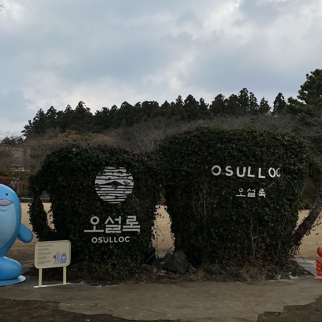 따뜻한 차를 마실 수 있는 제주 오설록 티 뮤지엄