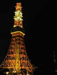 【東京】東京プリンスホテル お部屋の景色(夜編)