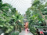 Forest garden trail within Jewel Changi