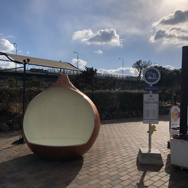 【淡路島】こんなところにおっ玉葱！？🧅