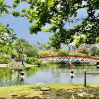 超大綠地公園🟢設計壯觀場面📍高雄中央公園站