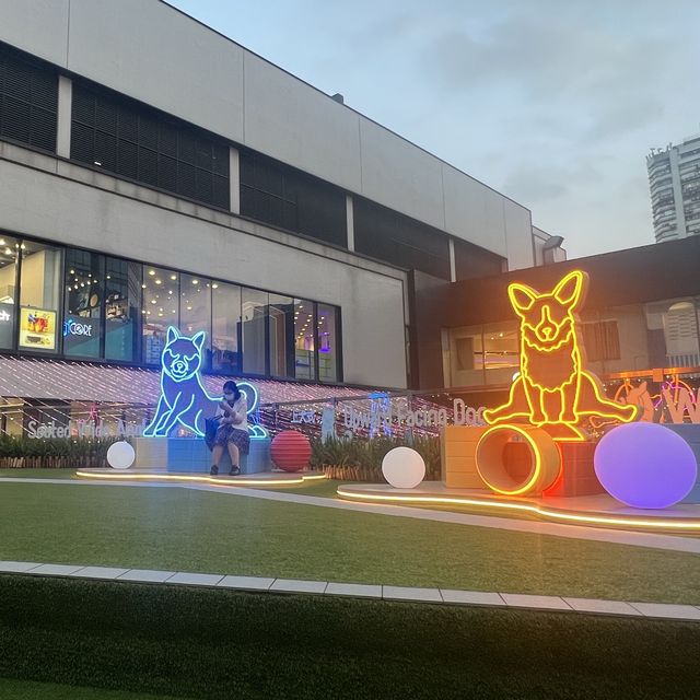 🐶狗狗都可以一齊做運動啦！