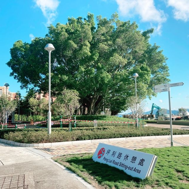 偽遊日本鄉郊小鎮 偽遊日本鄉郊小鎮