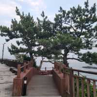 경주여행 양남 주상절리