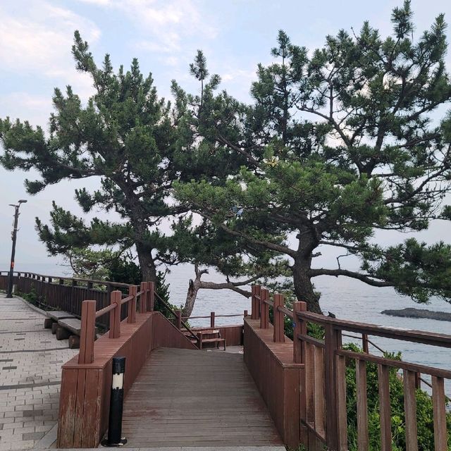 경주여행 양남 주상절리