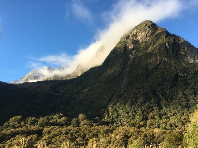 뉴질랜드 대자연의 정점, 밀포드 사운드🏔🇳🇿✨