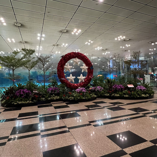 ✈️ Changi Airport August special 