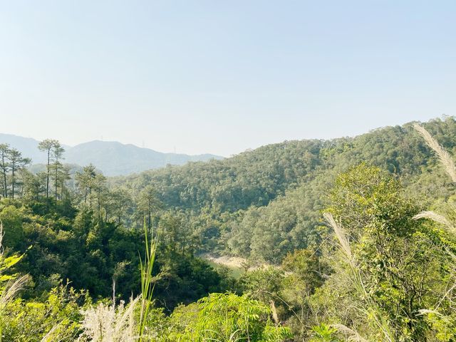 大欖郊野公園