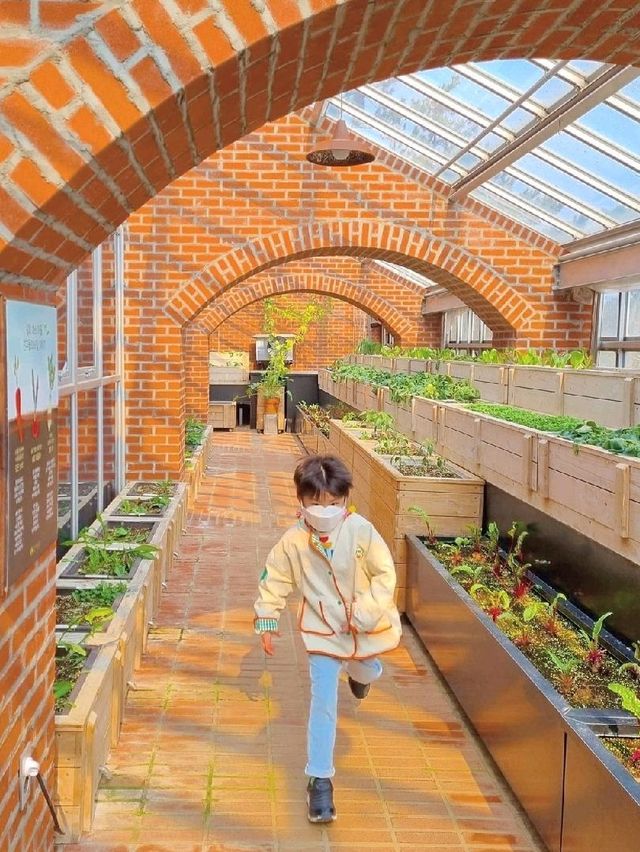 직접 재배한 채소로 식사하는 농원식당