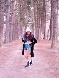 เกาะนามิ Nami Island หน้าหนาวที่แล้ว
