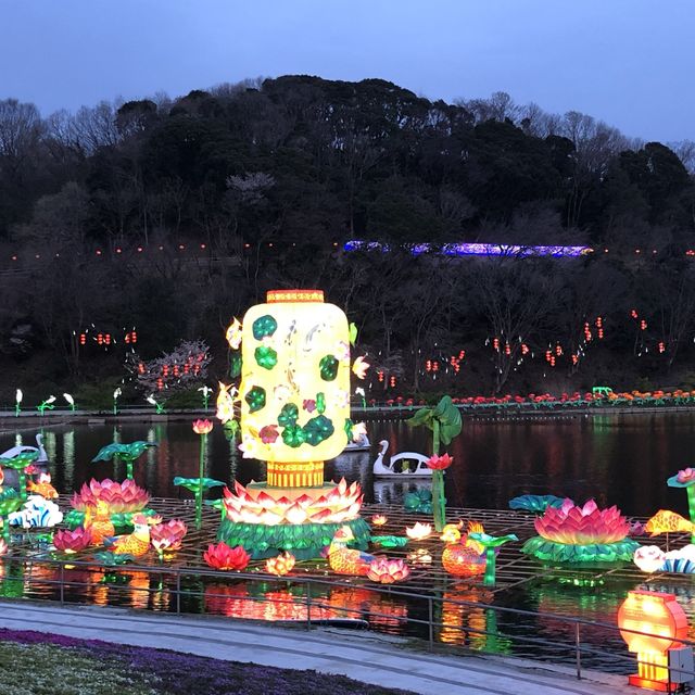 【千葉】東京ドイツ村