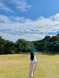서울 올림픽공원의 메인 나홀로나무🌳 