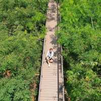 🌳🌼⚘️🌱“ป่าในกรุง”🌱⚘️🌼🌳