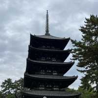 日本奈良公園｜真的好多🦌鹿，一旁的烤地瓜攤販很好吃😍