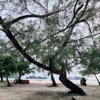 Pantai Kok @Langkawi