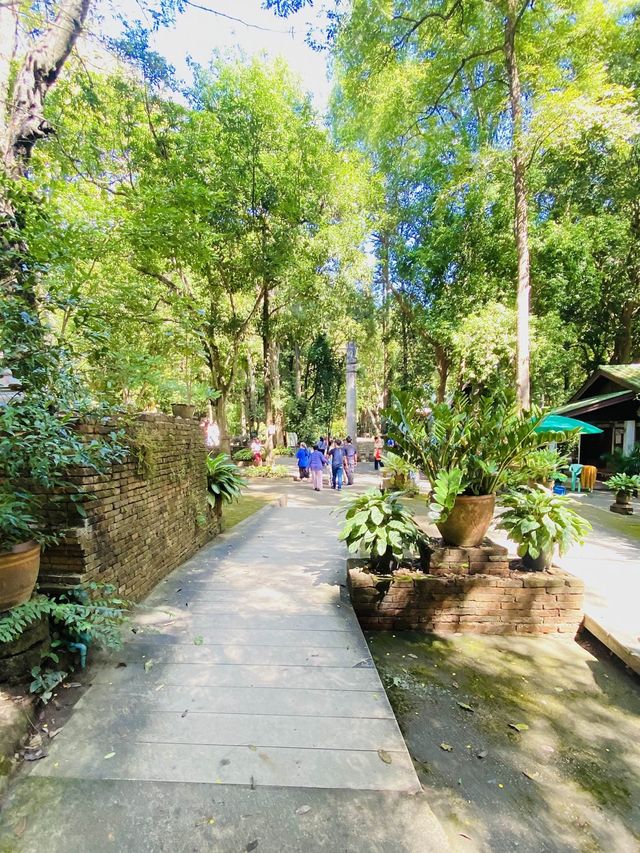 สวดมนต์ ไหว้พระ|วัดอุโมงค์(สวนพุทธธรรม)| เชียงใหม่