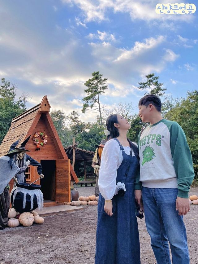 🏝️ 저장 안하면 후회하는 제주 서쪽 여행지_zip