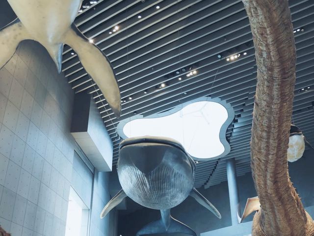 上海自然博物館