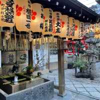 【京都】錦天満宮｜梅の花が咲いていました🌸