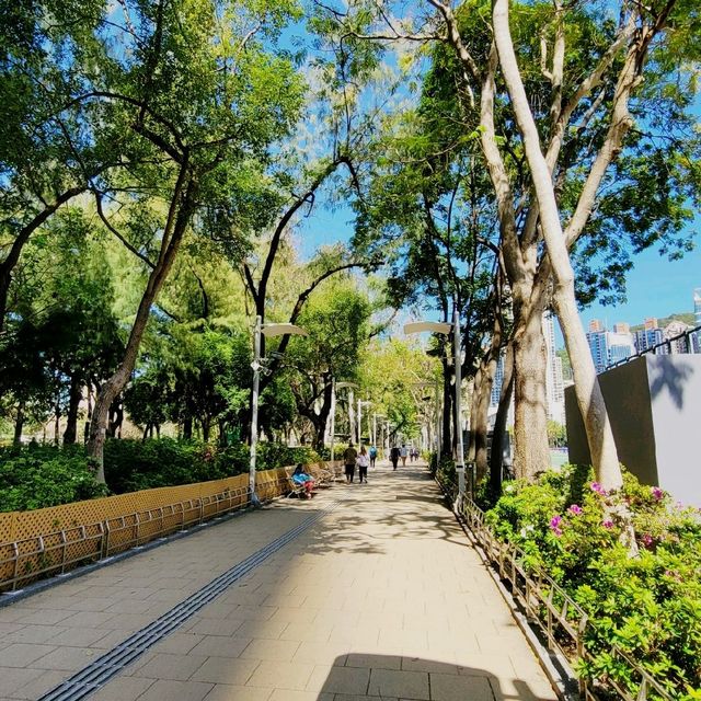 賞花好去處 ～ 維多利亞公園 