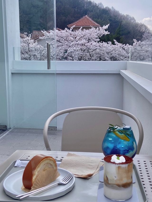공주 벚꽃뷰 카페, [내재]