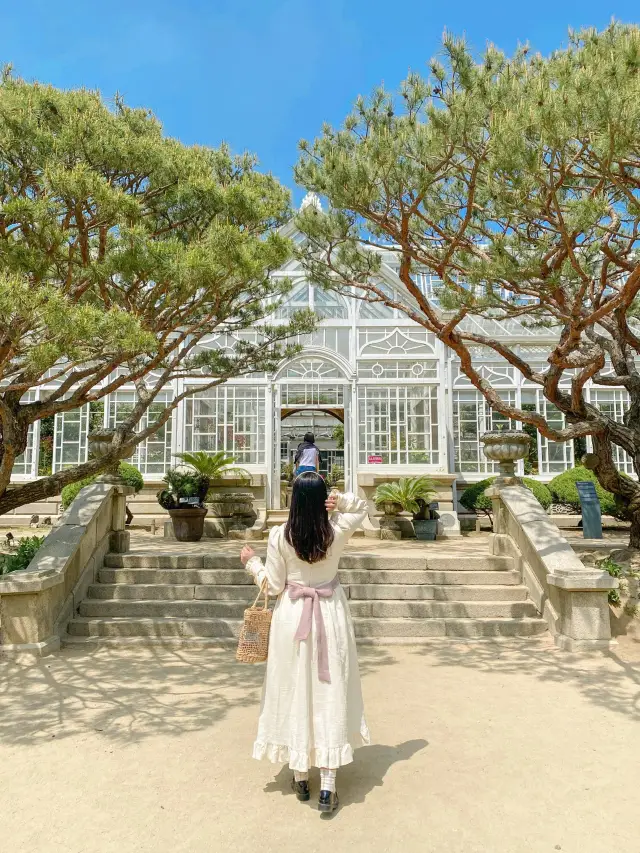 [Seoul Travel] Korea's Belvedere Palace! Changgyeonggung Palace Grand Greenhouse 🏯🌿