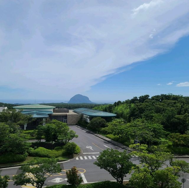 제주 머큐어 앰버서더 제주 수영장