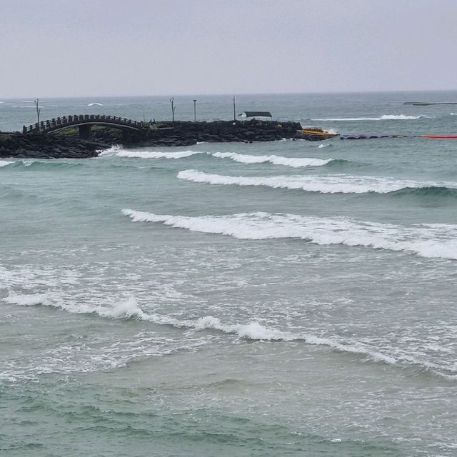Hamdeok Beach Life