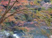 東京賞楓🍁好去處｜栗又之滝