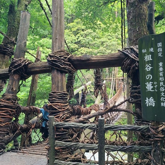 【かずら橋】国指定重要有形民俗文化財のツタ大橋